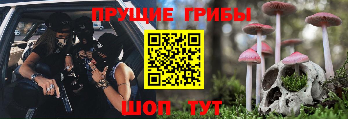 Псилоцибиновые грибы прущие грибы  Вход с VPN  Торжок  Галлюциногенные грибы Psilocybine cubensis 