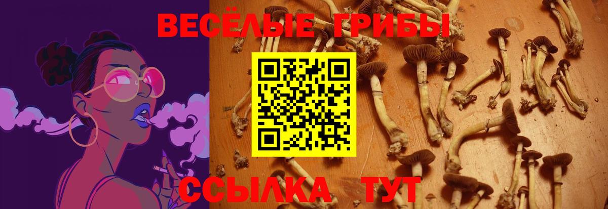 Галлюциногенные грибы мухоморы Торжок