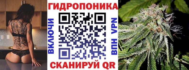 Конопля Ganja  Торжок 