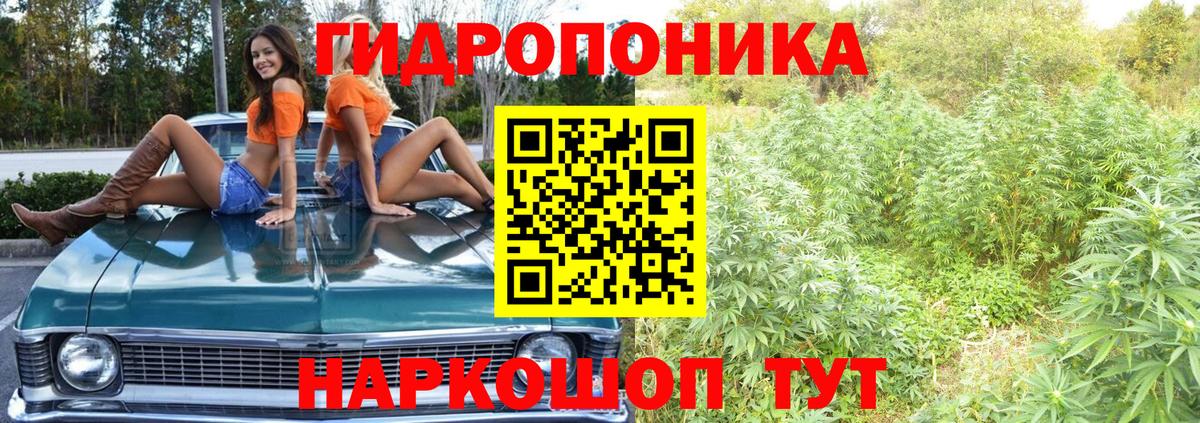Марихуана гибрид  Вход с VPN  Марихуана гибрид  Торжок 